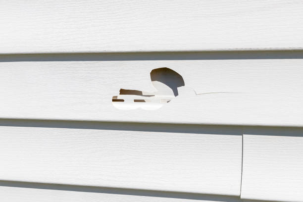Best Siding Painting and Refinishing  in Bealeton, VA