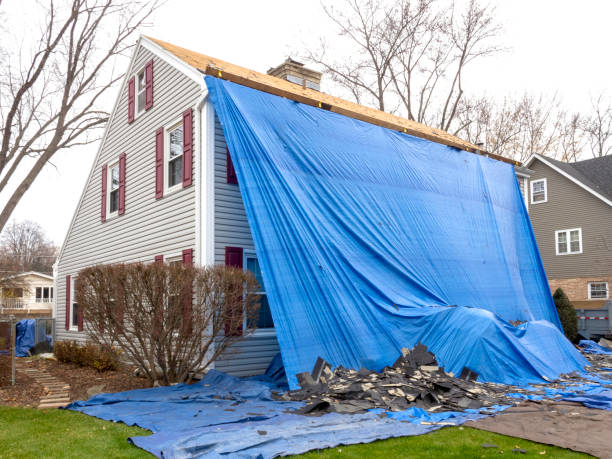 Best Siding for New Construction  in Bealeton, VA