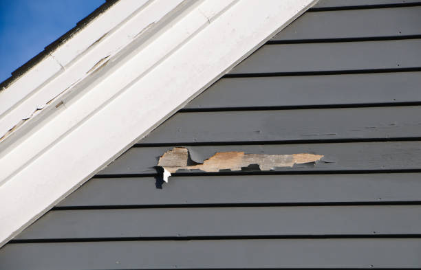 Best Composite Siding  in Bealeton, VA