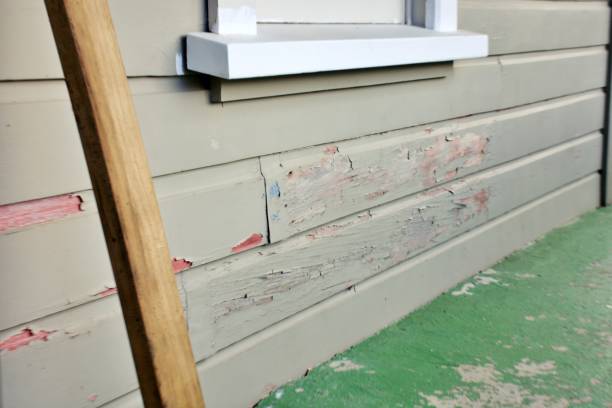 Best Siding Maintenance  in Bealeton, VA