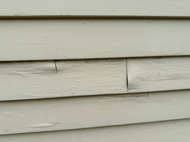 Best Siding Removal and Disposal  in Bealeton, VA